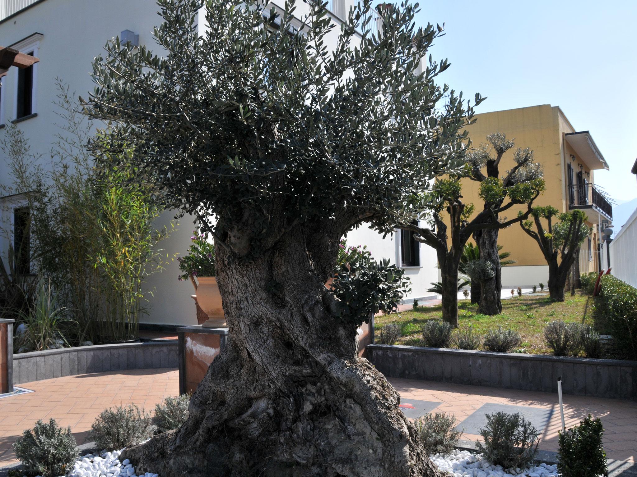 פומפיי Costa Hotel מראה חיצוני תמונה